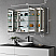 LV 48" Frameless Surface-Mount/Recessed LED Lighted Bathroom Medicine Cabinet