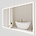  LV 60 in. W x 36 in. H Frameless LED Perimeter Lighted Bathroom Vanity Mirror with Dimmer and Defogger