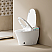 Elongated Smart Bidet Toilet with Clean Foam Shield, Built-In Tank, ADA Chair Height, Heated Seat, Warm Air Dryer, Foot Sensor Auto Flush, Child Wash & Dual Remote Controls