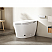 Elongated Smart Bidet Toilet with LED screen display, Built in Tank, ADA Chair Height, Heated Seat, Dryer & Foot/Remote Flush, Dual remote control