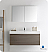 Fresca Mezzo 48" Gray Oak Wall Hung Modern Bathroom Vanity with Faucet, Medicine Cabinet and Linen Side Cabinet Option