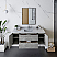 54" Wall Hung Modern Bathroom Cabinet w/ Top & Sink in Ash
