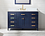 Modern 54" Single Sink Vanity with 1" Thick White Quartz Countertop in Blue Finish
