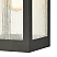 Angus 20'' High 1-Light Outdoor Sconce - Charcoal