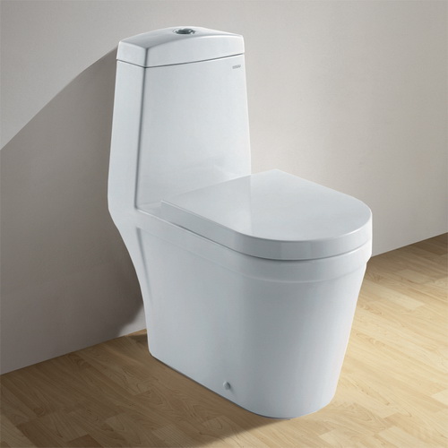 Ariel One Piece Contemporary Toilet with Dual Flush