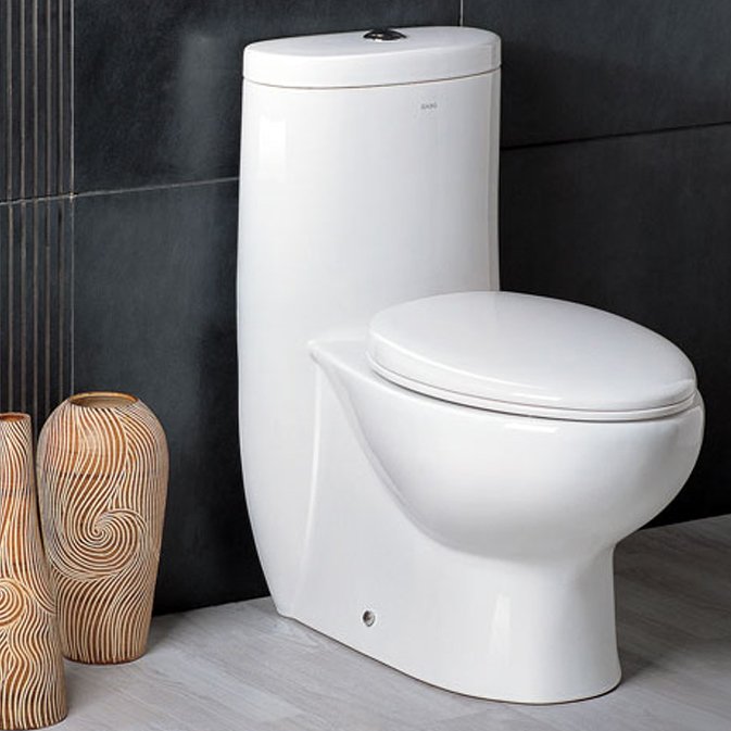 Delphinus Elongated Toilet Dual Flush