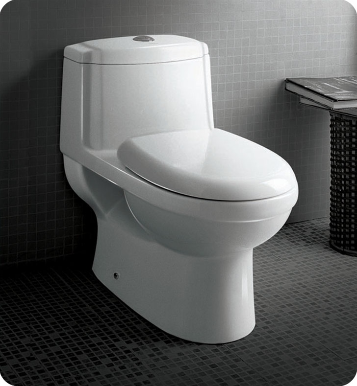 Dorado Elongated Toilet Dual Flush